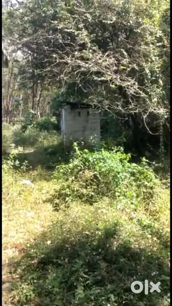 A very good potential plot for sale