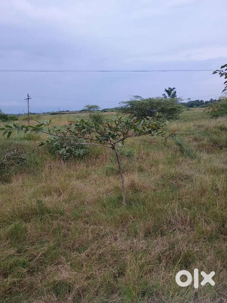 100 acers kanjpuram to Arakkonanam on road