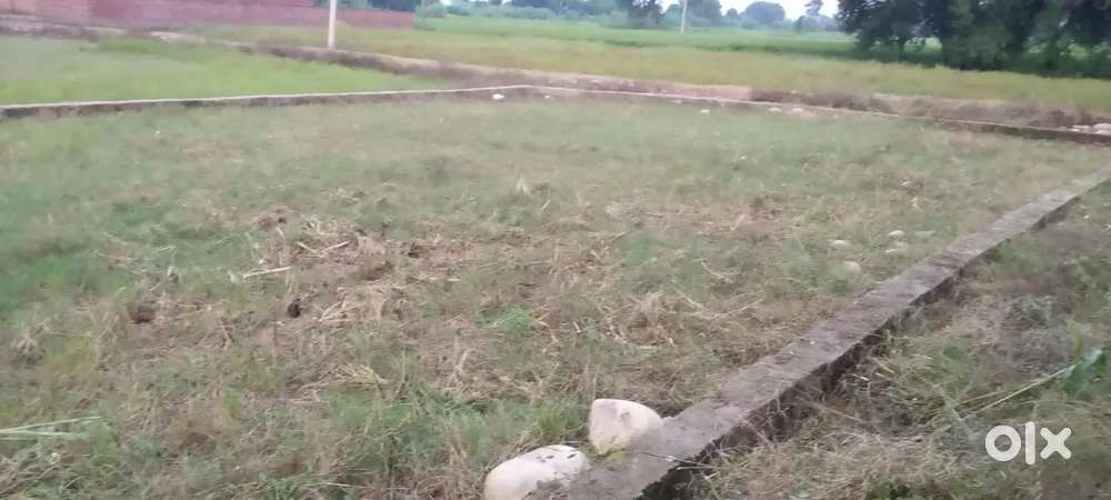 10 marle land in flaymandal..non agriculture land