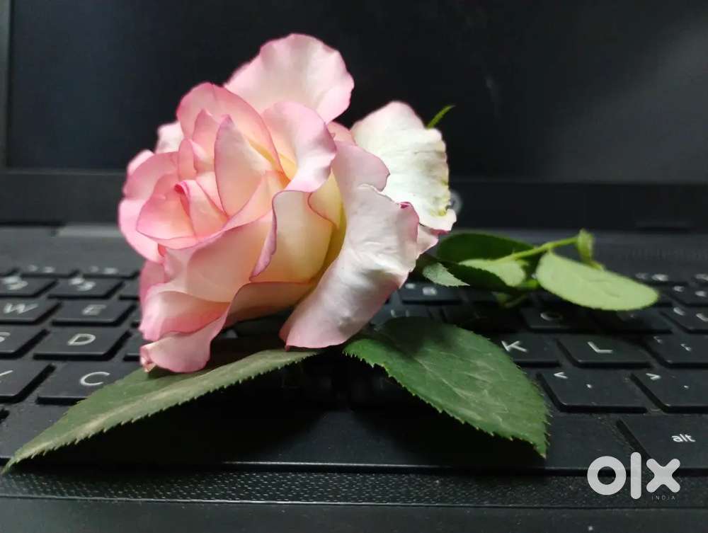 HP ryzen 5,1TB 8GB laptop,FHD