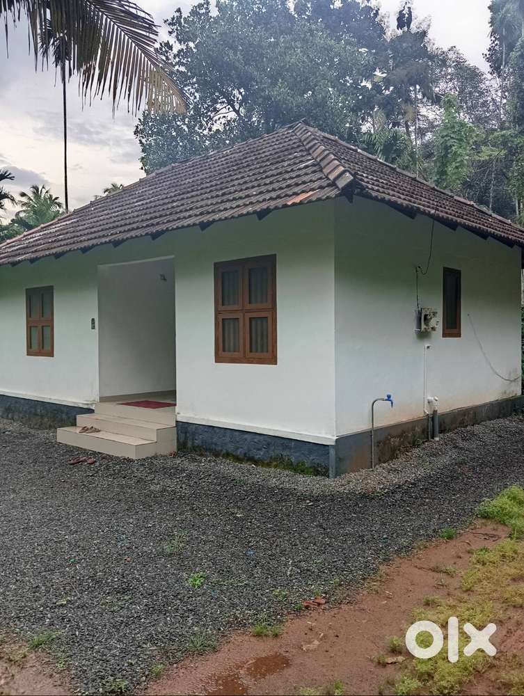 15 cent plot and house