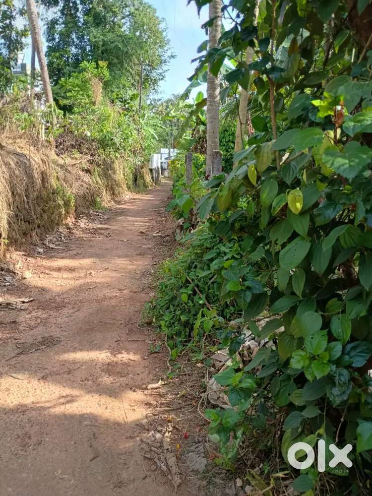 8cent  near ST.Thomas School,Chingavanam