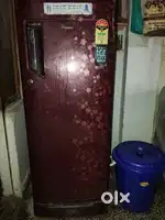 Well maintained freeze