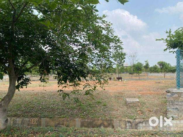 Plot / Land sale in Nelmangla