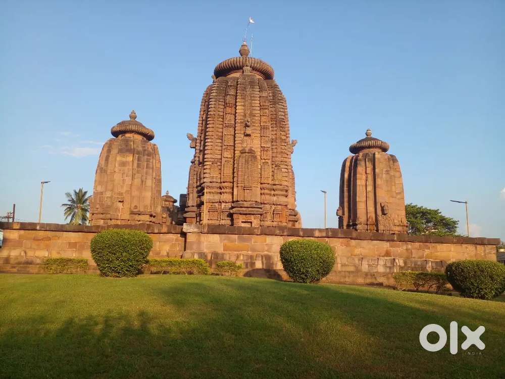 Required sales executive for computer/ mobile shop( bapuji nagar)