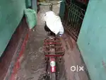 Yah aadhunik chij hai