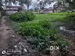 10 Lusa land