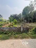 মনোরম পরিবেশে আড়াই কাঠা জমি বিক্রি হচ্ছে