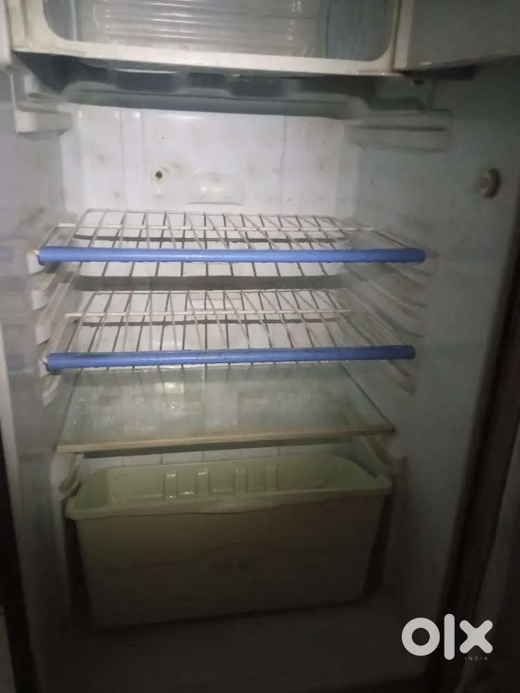 Home fridge