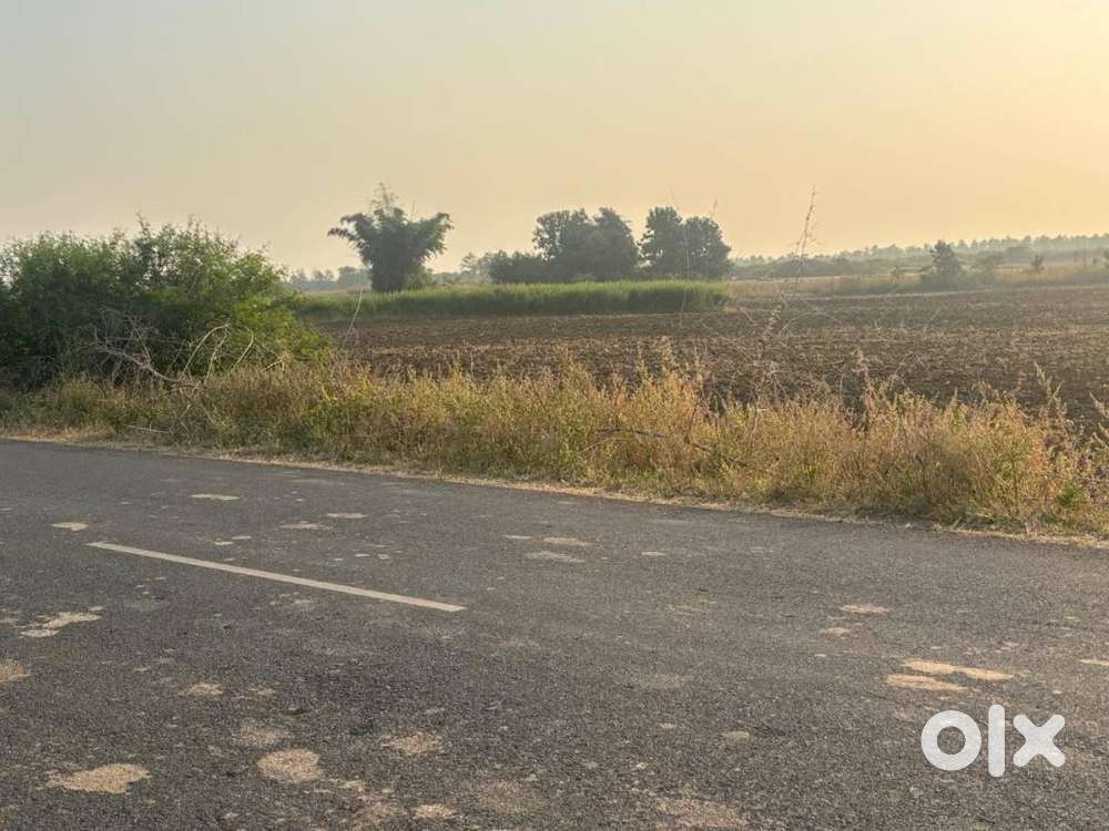 AGRI LAND  IMMEDIATE SALE LOHA PATHAR, Main Road near Kolar Dam