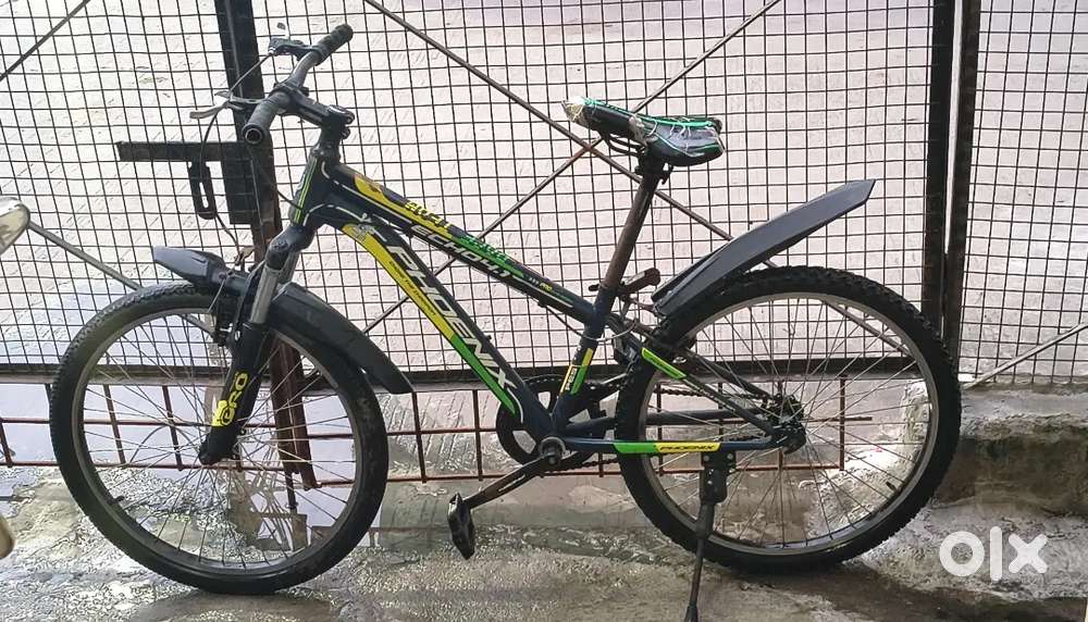Phoneix Bicycle