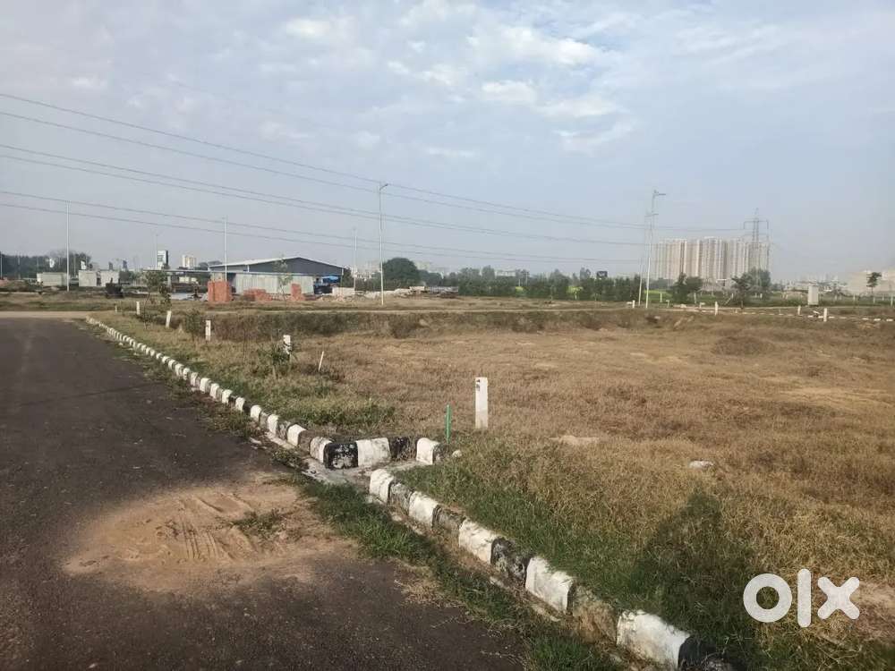 150sqyd plot max white