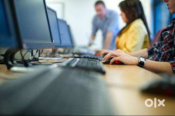 Required data Entry Executive