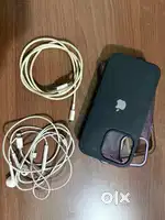 13 Pro, Apple original charging cable and original earphone and 3 case