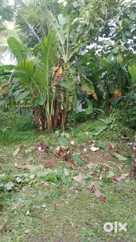Plot for sale national highway side