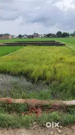 LAND FOR SALE NEAR 8 LANE DHANBAD
