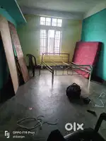 Urgent require room mate panpatty