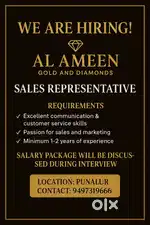 Sales Representative And Marketing Executive