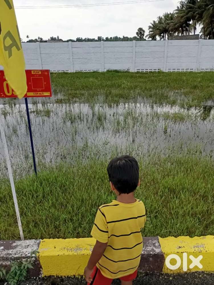 Low budget plot for sale in ECR kalpakk