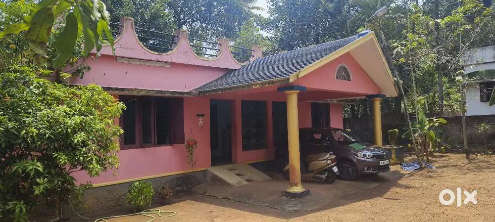 Grass cutting cleaning house surroundings