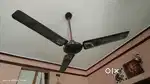 Ceiling Fan