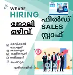 Field sales executive