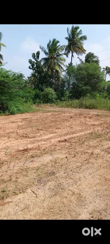 Near Sri Krishna Institutions, Pannapatti, Salem