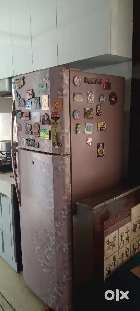 Lg fridge with 2 door
