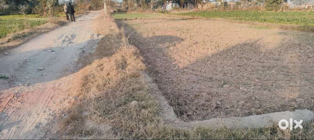 15 Marla plot for sale at Thalwal near Bhadrakali mandir