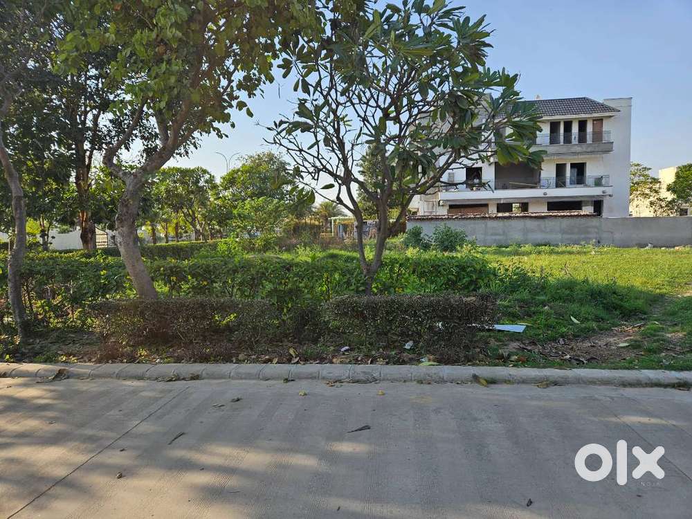 301 Sqyards Plot For Sale in Omaxe Phase 3 New Chandigarh.