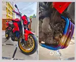 Benelli 600i - Genuine Reading & Condition