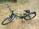 Avon Cycle