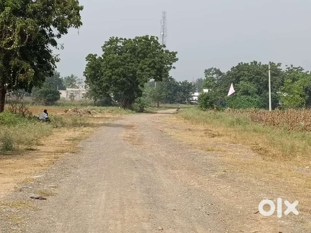 ఇన్వెస్ట్‌మెంట్‌కు బెస్ట్ ఛాన్స్ – 100 గజాల ప్లాట్లు ₹1 లక్ష నుంచే!