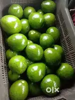 Avocado (Butter fruit) wholesale and retail sales (offer only 3 days)