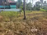 15 cent plot Mulanthuruthy