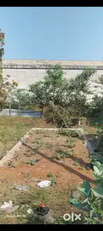 Land sale Mannivakkam