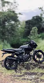 WELL MAINTAINED PULSER 150