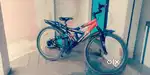 Cycle only 4 month old