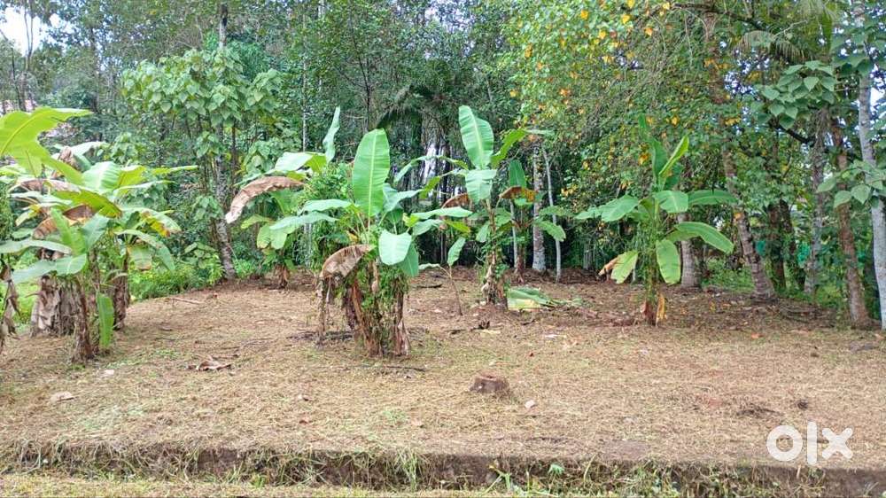 Plot very close to Highway