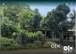 Esksoniya property suitable for opening Dhaba, Godown etc
