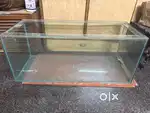 5ft long fish tank