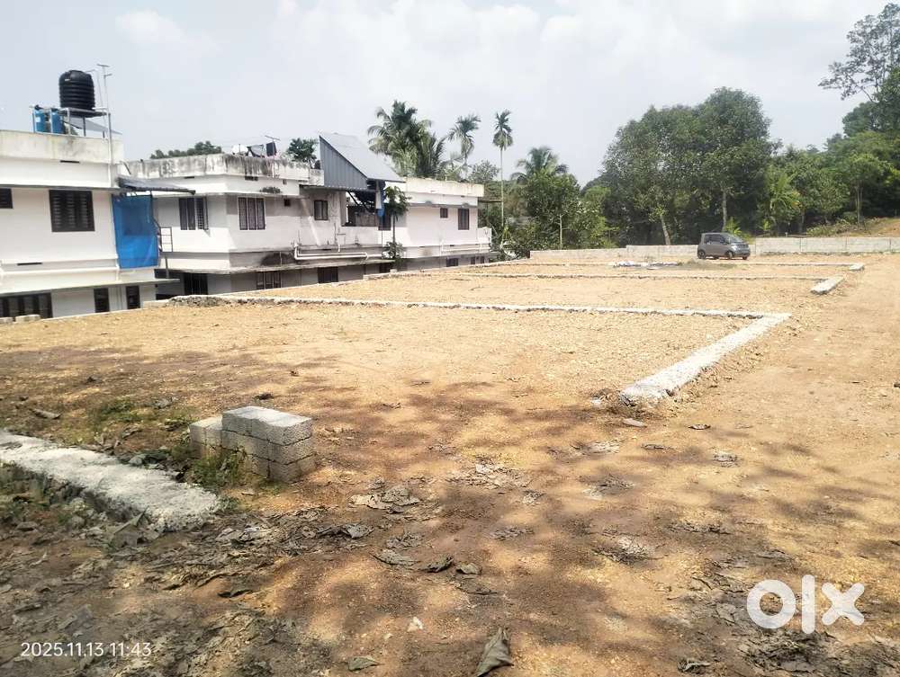 Chottanikkara Eruvely palace sguare area plot for sale