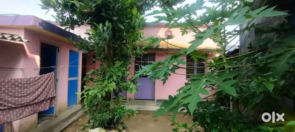 ছাদ এর ঘর ভাড়া দেওয়া হবে