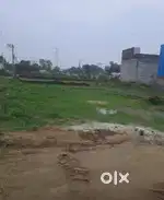 Best plot for house