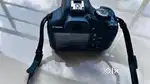 Want to sale