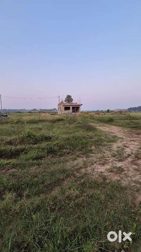 Plot Sale In Nakhara