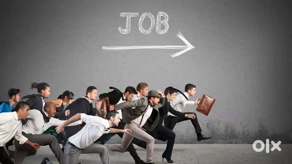 Frontened and backend developer,coding