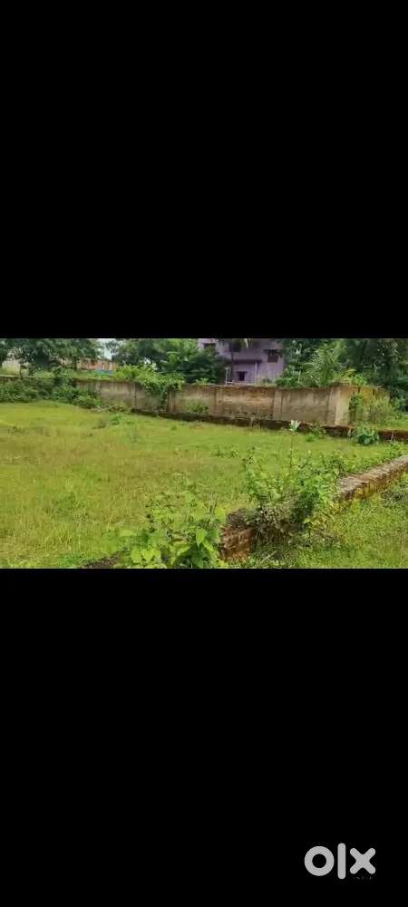 Jamtara near Medisha Hospital  385000 per kattha