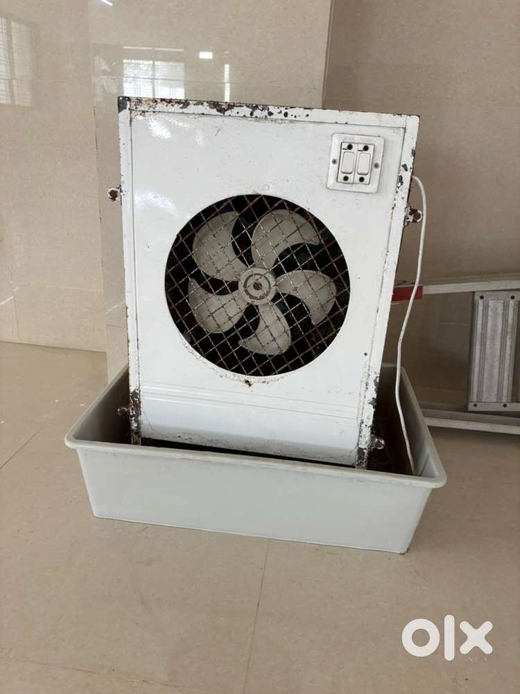 Coller in good condition