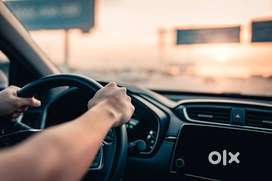 Wanted Male Driver Staff at Pets Food Firm (Lmv)